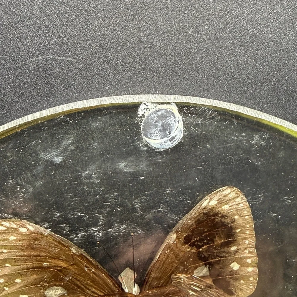 Vintage Butterfly Dried Flowers Trivet Resin Acrylic Lucite 1970s Kitchen Retro